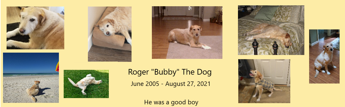 Roger The Dog